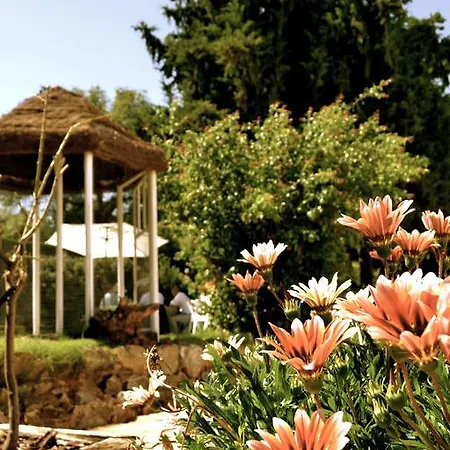 La Escribana Willa *